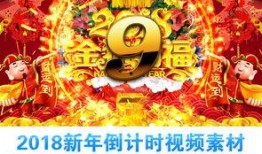 台儿庄金币爆料视频大全,揭秘珍贵历史货币背后的故事